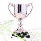 the-award-cup1